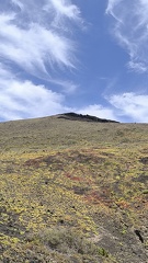 IMG 20260510 144149