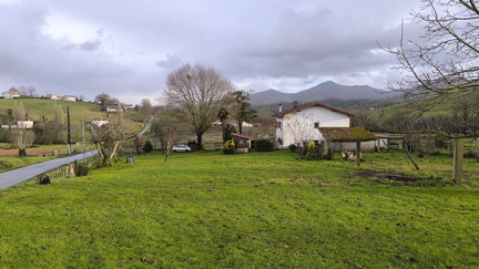 IMG 20260109 161750